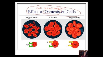 Chapter 13 Video 7 Colligative Properties, Collective Properties of Solutions