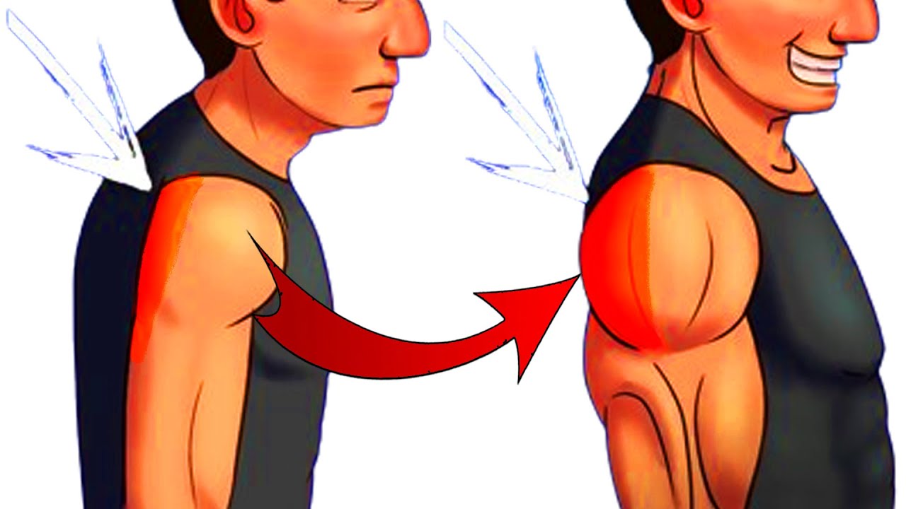 Build Rear Shoulders The Perfect 7 Exercises for REAR DELTS💪(Build Wide Shoulders) - YouTube
