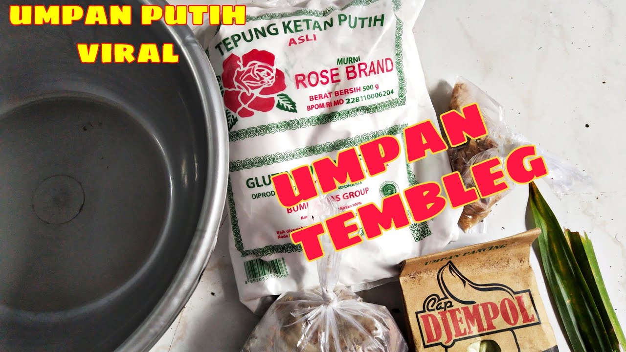 Umpan ikan mas tembleg // umpan viral 2020