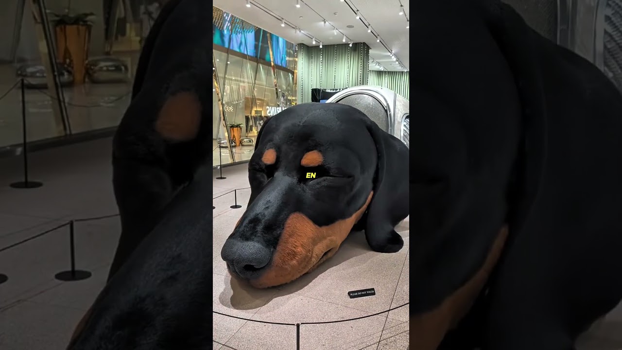 Le centre commercial protégé par un “chien géant”