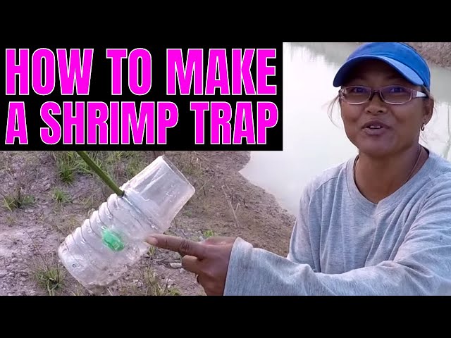 HOW TO Make A Simple SHRIMP TRAP For FREE 
