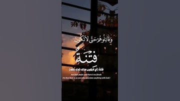 ماتيسر من سورة الأنفال #الشيخ_يوسف_العيدروس