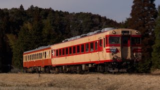 いすみ鉄道 キハ28形(赤髭)+キハ52形 急行うわじまHM掲出 (2022.2.6)