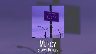 Mercy - Shawn Mendes (best part remix) Resimi