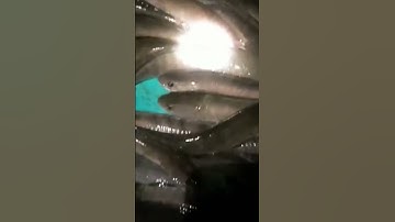 12fet công suất lớn 1 vợt thả cáp kéo côn kích #kichcadientu #xiệtcá #lithium #pin