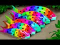 Fish Stop Motion ASMR | Crocodile hunting Colorful carp bee catfish Koi fish eels Racing