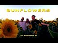 Kurtis Hoppie Derek Ryan Spencer Boliou Sunflowers Official Music Video mp3