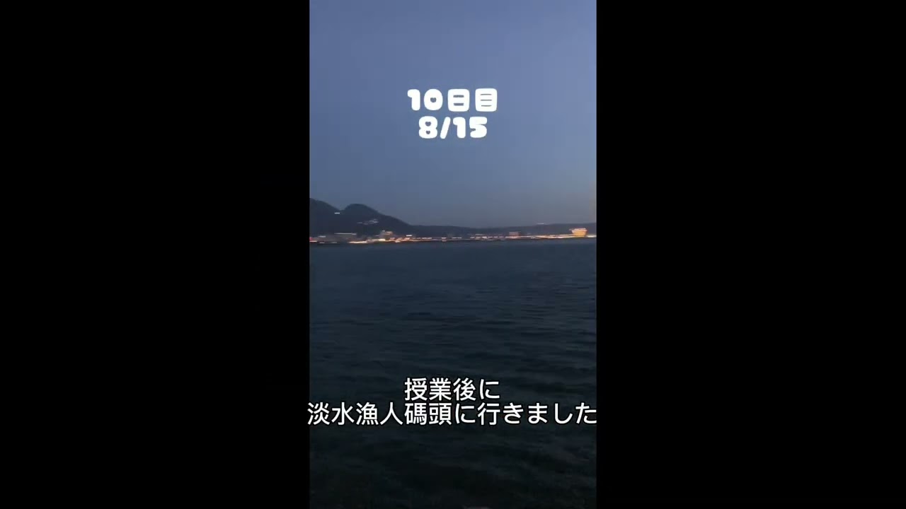カリキュラム | 日本大学文理学部学科