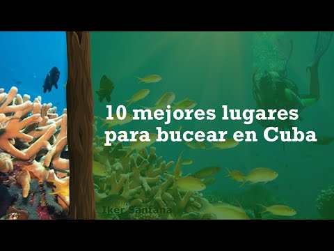 Video: Los mejores sitios de buceo en Santa Lucía