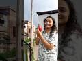 ছাদ বাগান থেকে ড্রাগন ফল তুলে নিলাম#trendingshorts #gardening#rooftopgarden#dragonfruitcutting#viral