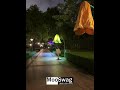 Motion activated flower blossom lights