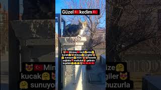 Welcome To My Channel 