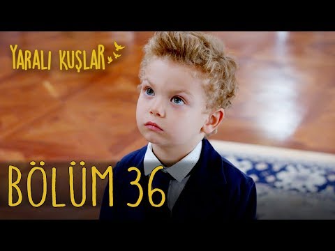 Yaralı Kuşlar 36. Bölüm