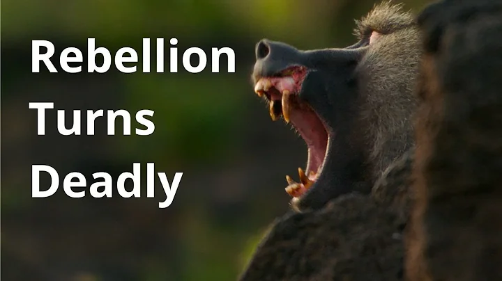 Family drama turns deadly. Not everyone will survive.