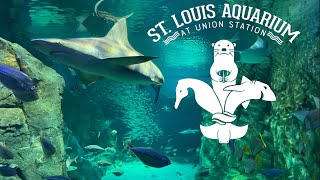 St Louis Aquarium at Union Station Tour & Review with The Legend