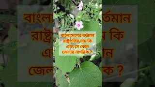 অধিকাংশ লোক পারবে না ? গুগলি ধাঁধা প্রশ্ন shorts