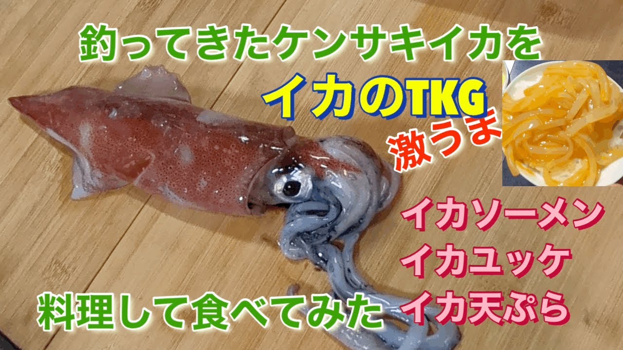 釣ってきたケンサキイカをtkg料理して食べてみた イカtkg イカソーメン イカユッケ イカ天ぷら 卵かけご飯 Youtube