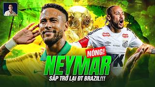 Tin Nóng Neymar Trở Lại Tuyển Brazil