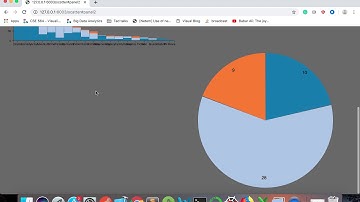 CSE 564 - Visualization Project