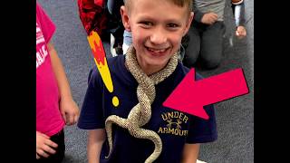 IH Virtual Assembly 4-6th Grade