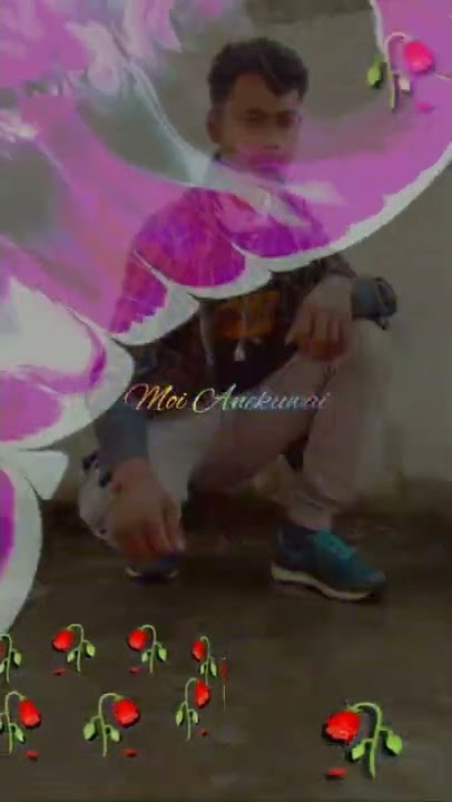 WhatsApp status video WhatsApp status video