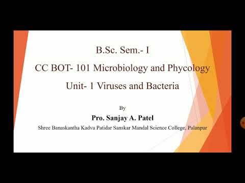 Viruses and Bacteria