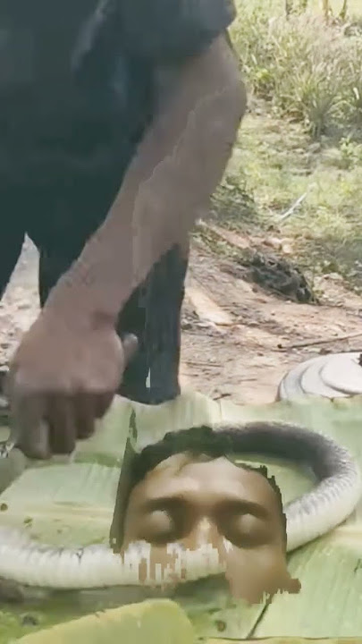 #click 👇https://youtu.be/2a7iA9Zi5sM?si=Fyns-Jedg7E4HbWR #snake #cooking #food#eating #eat #24hours