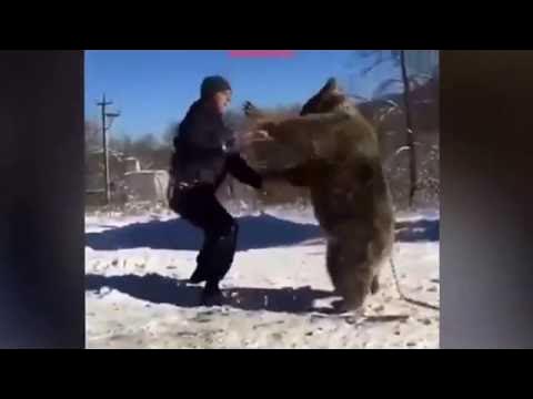 Видео медведи против. Схватка человека с медведем.