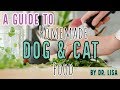 A Guide to Homemade dog & cat food | Veterinarian Dr. Lisa discusses (2019)