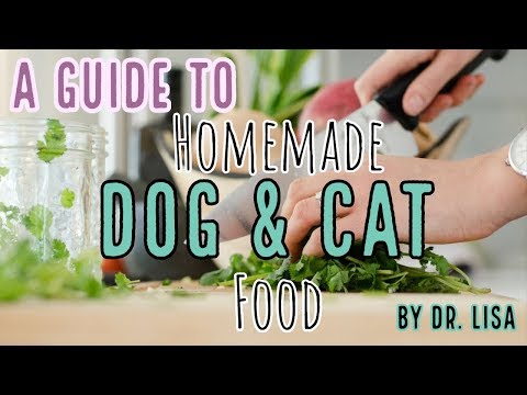 a-guide-to-homemade-dog-&-cat-food-|-veterinarian-dr.-lisa-discusses-(2019)