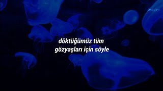 Alan Walker - Lovesick (türkçe çeviri)