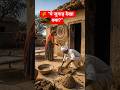 🌿 मिट्टी और गोबर से घर ठंडा रखने का 100 साल पुराना देसी जुगाड़ 😲