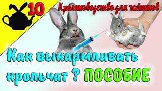 видео: КАК ВЫКАРМЛИВАТЬ КРОЛЬЧАТ? НАГЛЯДНОЕ ПОСОБИЕ / Кролиководство для чайников 10 картинка: КАК ВЫКАРМЛИВАТЬ КРОЛЬЧАТ? НАГЛЯДНОЕ ПОСОБИЕ / Кролиководство для чайников 10