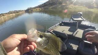Eastman Lake Livescope Crappie Fishing!