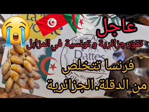 عاجل فرنسا ترمي الدقلة التمور الجزائرية في المزابل لكونها تحمل اشعاعات نووية دقلة نور رمضان