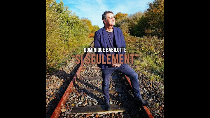 Si Seulement Dominique Babilotte / Patrice Chartie...