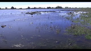 Santa rosa plateau reserve, california