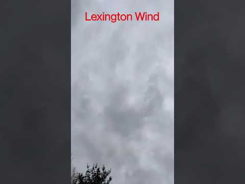 Видео: Времето и климатът в Лексингтън, Кентъки