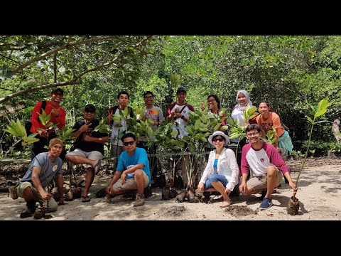 Couchsurfing Batam - Menanam Mangrove di Kampung Terih Nongsa (Monthly Gathering September 2019) @MartoyoOthoy