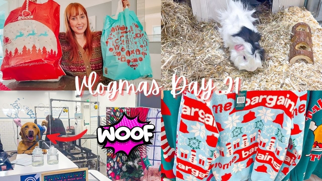HOME BARGAINS & PETS AT HOME SHOP WITH ME PLUS HAUL VLOGMAS 2023