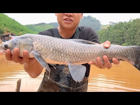 法国无人岛赶海，鲍鱼海参随便捡，紫色海胆味鲜 | 赶海 | 鲍鱼 | 海鲜 | 法国 | 海胆 |