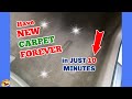 KEEP Your CARPET Looking BRAND NEW FOREVER in Just 10 minutes...THIS WORKS!!