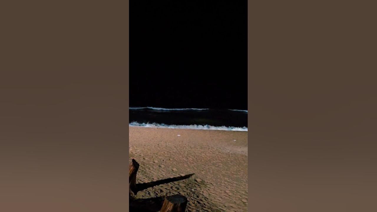 Night waves #love #yt #song #travel  #arijitsingh #music #tseries #mrbeast #lyrics #shorts #trending