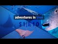 2023 Underwater Showreel | Thailand Highlights