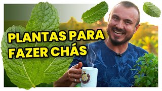 5 plantas para fazer chás naturais | Como cultivar e seus benefícios