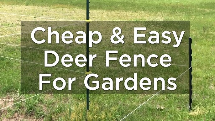 Building a ZIP TIE Deer Fence?! Garden Plot 2020 