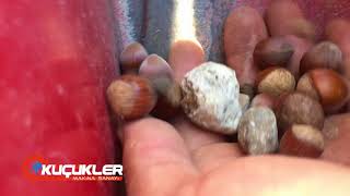 Fındık Toplama Makinası Mini Patoz Karasu SAKARYA