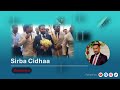 Birhanu Bekele Sirba Cidhaa Salaalee
