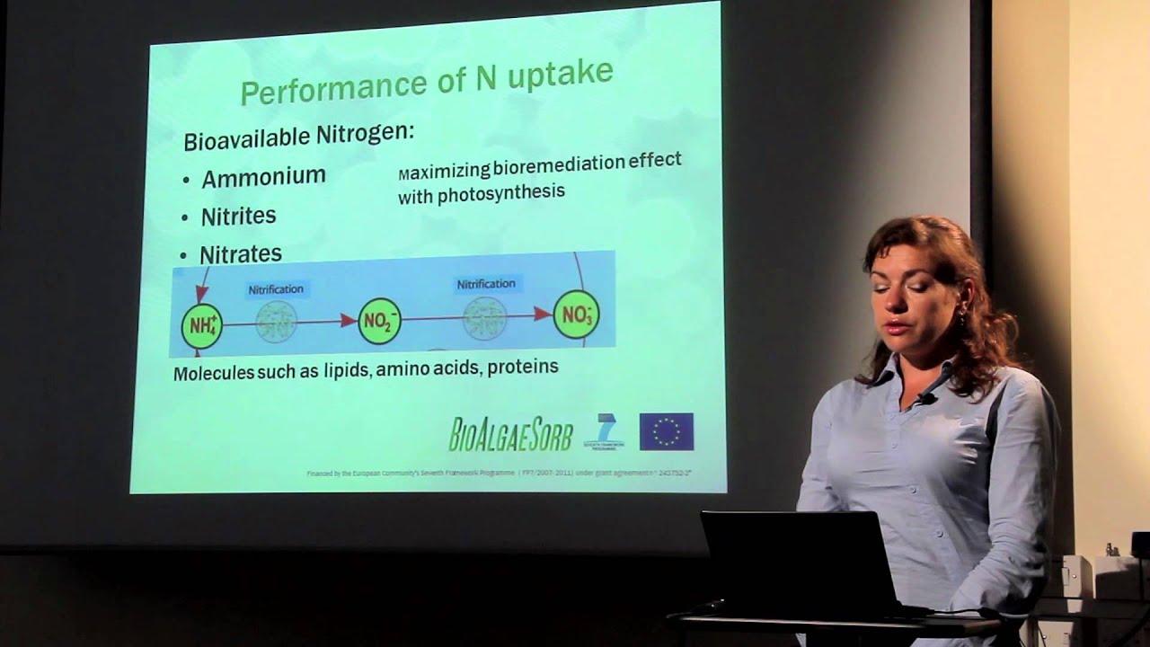 BioAlgaeSorb bioremediation and algal growth presentation- Dr Alla Silkina