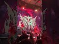 Distant live MR Fox